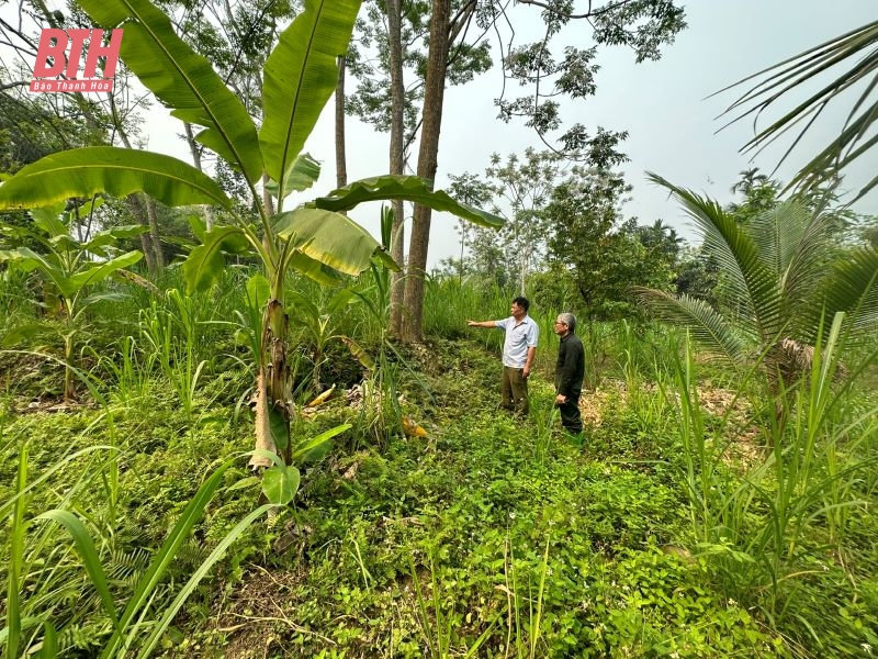 Lên vùng cao thăm “địa chỉ đỏ” trong thời kỳ chống Pháp