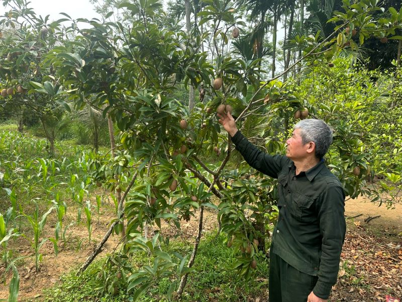 Lên vùng cao thăm “địa chỉ đỏ” trong thời kỳ chống Pháp