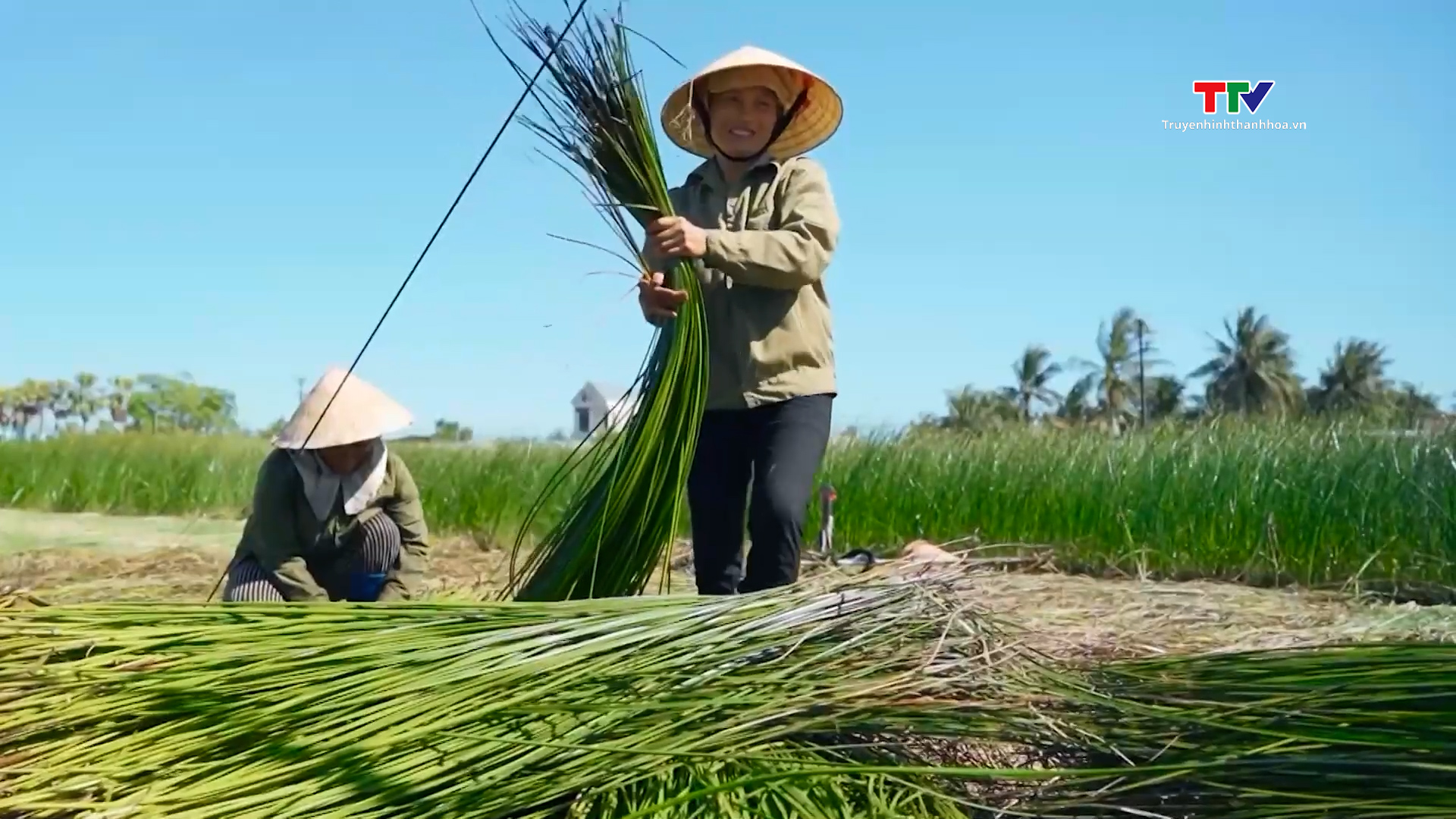 Mở hướng phát triển cho ngành nghề truyền thống- Ảnh 3.