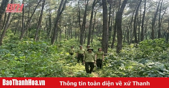 Thach Thanh proactively protects forests during hot season