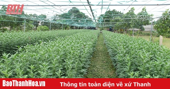 Trang trại hữu cơ không rác thải