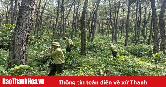 Ngăn chặn nguy cơ cháy rừng trong mùa nắng nóng