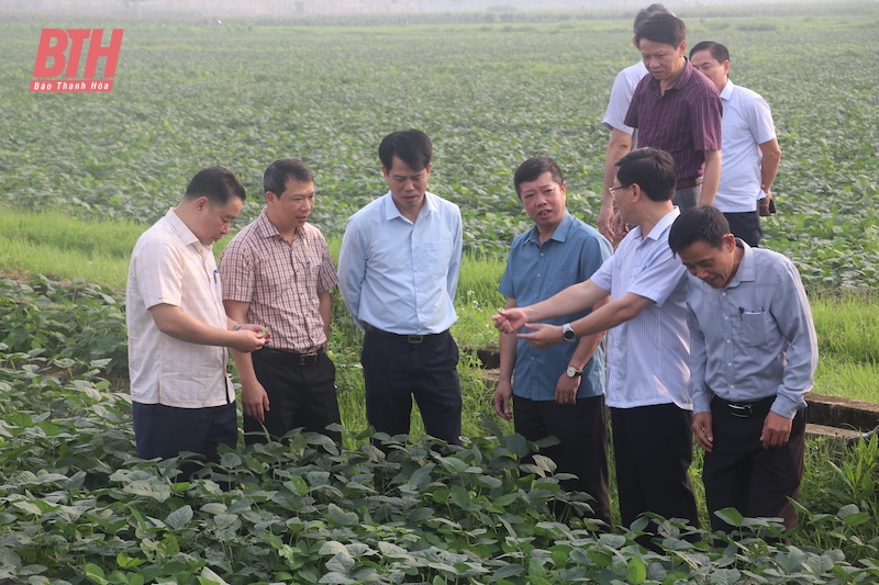 หัวล็อคยังคงรักษาและปรับปรุงคุณภาพเกณฑ์ในการสร้างพื้นที่ชนบทใหม่