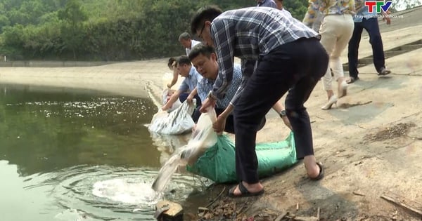 Releasing more than 250 kg of fish fry into Canh Chim Lake