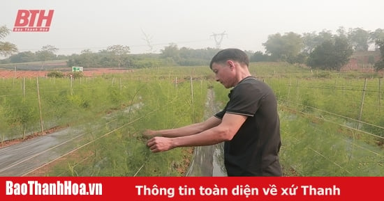 Đánh thức những vùng đồi