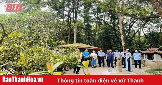 Nhiều trải nghiệm thú vị