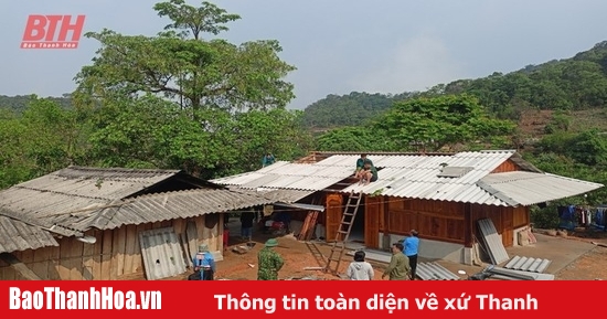 Khẩn trương khắc phục hậu quả do dông lốc và mưa lớn gây ra đối với sản xuất nông nghiệp trên địa bàn tỉnh