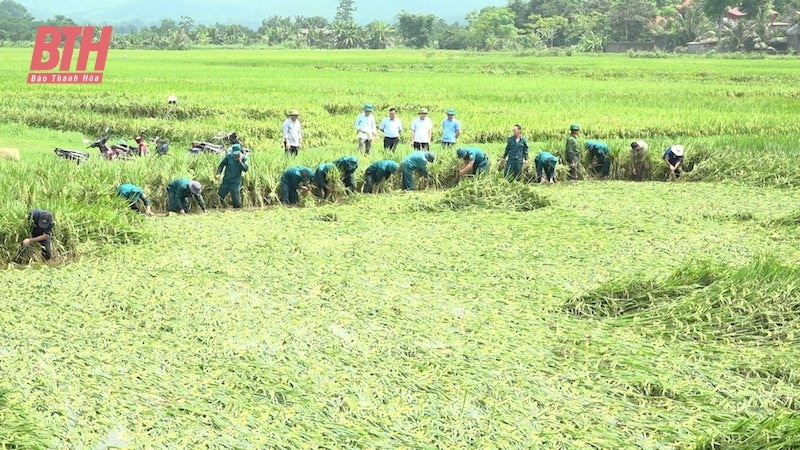 Vĩnh Lộc: Khẩn trương khắc phục thiệt hại sản xuất sau ảnh hưởng của mưa lớn