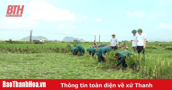 Khẩn trương khắc phục thiệt hại sản xuất sau ảnh hưởng của mưa lớn