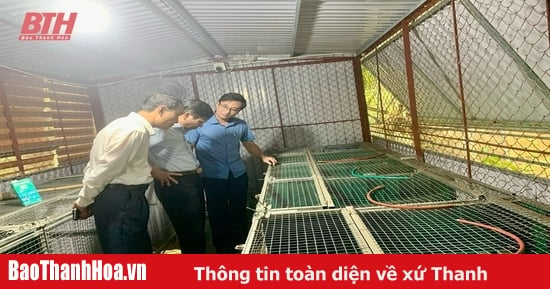 Cầu nối giúp nông dân phát triển kinh tế