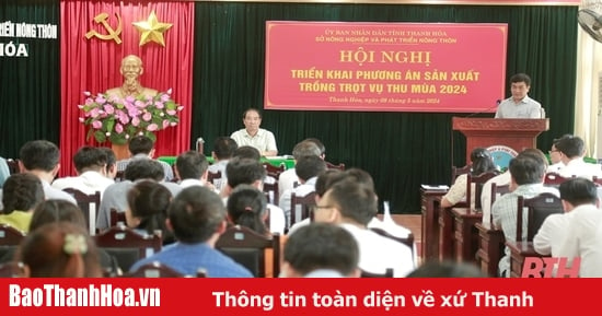 Ngành Nông nghiệp phấn đấu giá trị sản xuất vụ thu mùa 2024 đạt 9.178,7 tỷ đồng