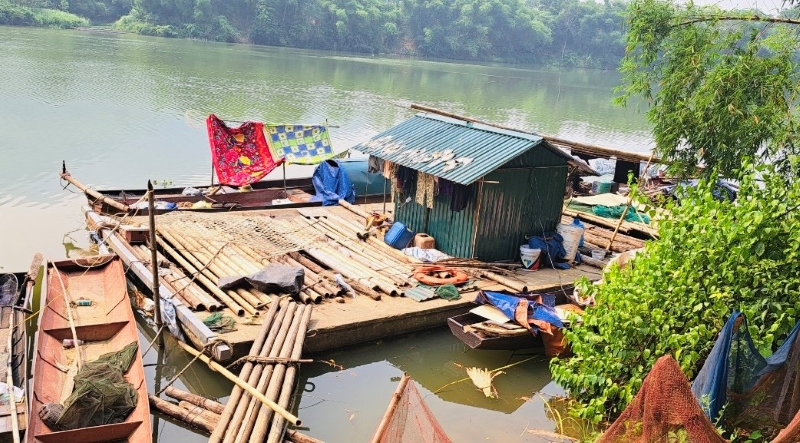 Hiện tượng cá chết hàng loạt tại các lồng, bè nuôi trên sông Mã không phải do dịch bệnh