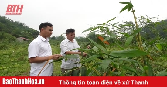 Kỳ vọng vào những cây trồng mới