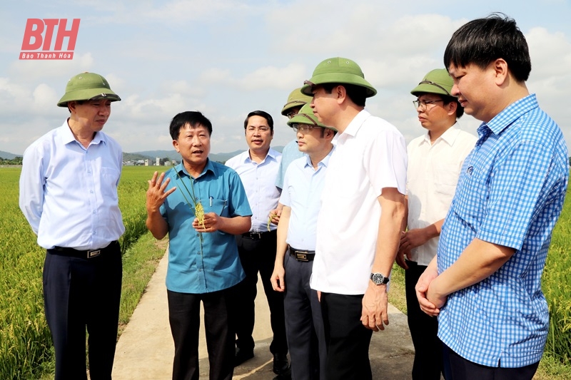 Phó Chủ tịch UBND tỉnh Lê Đức Giang kiểm tra tình hình xây dựng nông thôn mới tại Yên Định