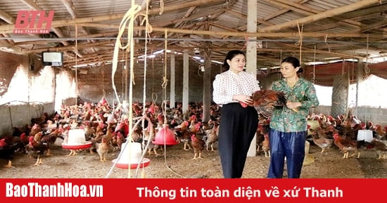 Liên kết chăn nuôi gà bền vững