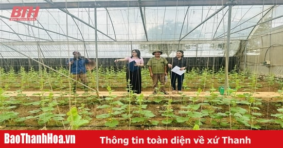 Hiệu quả từ vốn vay giải quyết việc làm tại huyện Đông Sơn