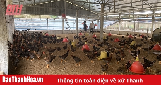 Tăng cường kiểm soát dịch bệnh, bảo đảm an toàn cho đàn gia súc, gia cầm