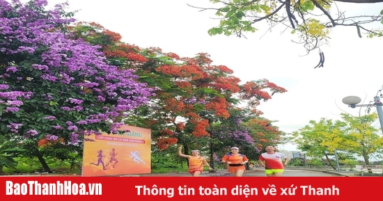 Những sắc hoa gọi hè về