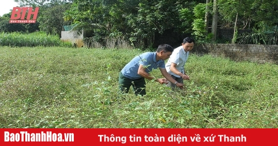 Phát triển HTX nông nghiệp hữu cơ