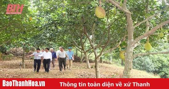 Vườn bậc thang trên đất sỏi