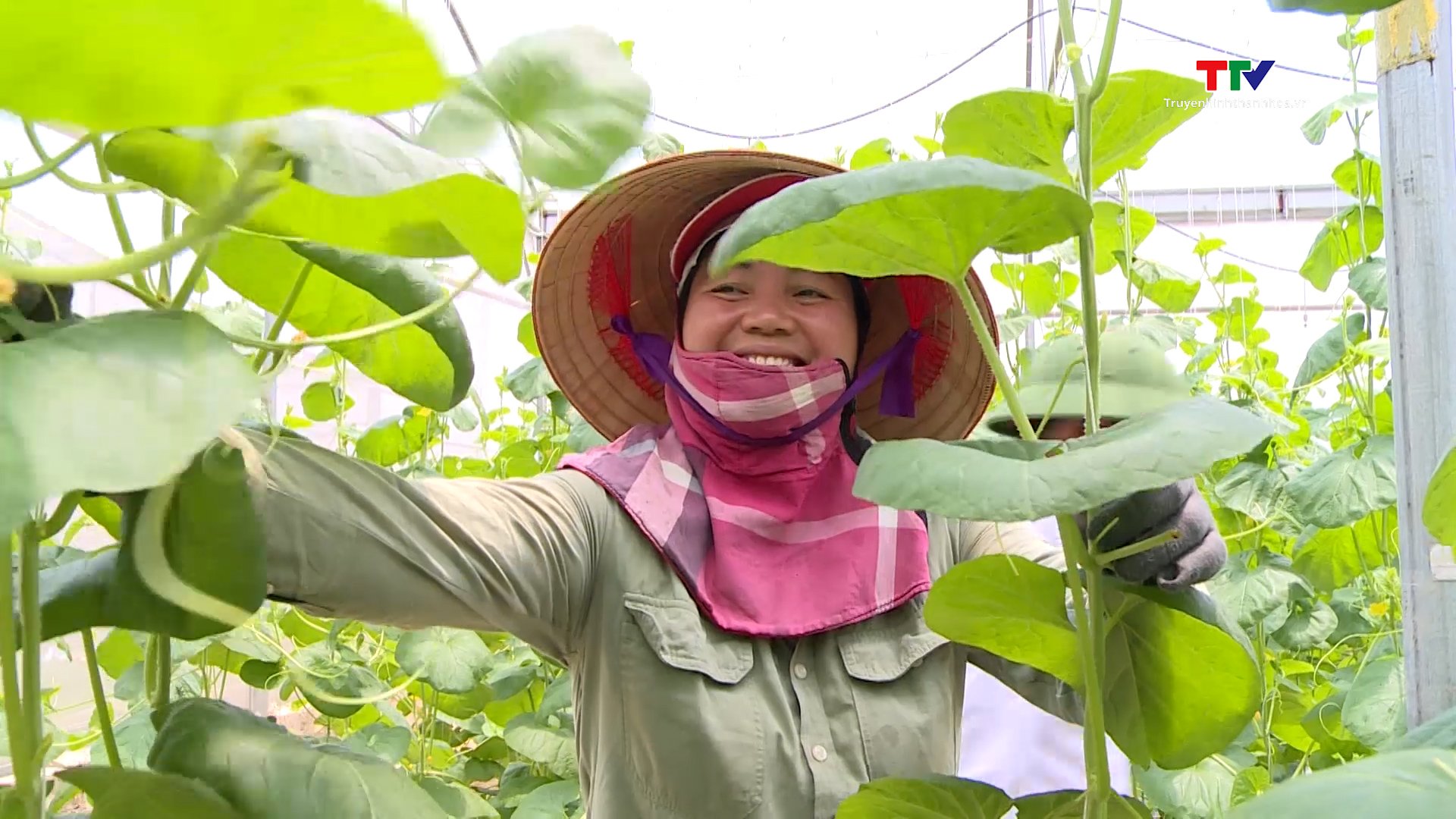 Hội Làm vườn và Trang trại Thanh Hóa góp phần nâng cao chất lượng, hiệu quả sản xuất nông nghiệp- Ảnh 7.