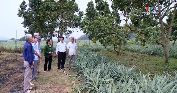 Thanh Hoa Gardening and Farming Association contributes to improving the quality and efficiency of agricultural production