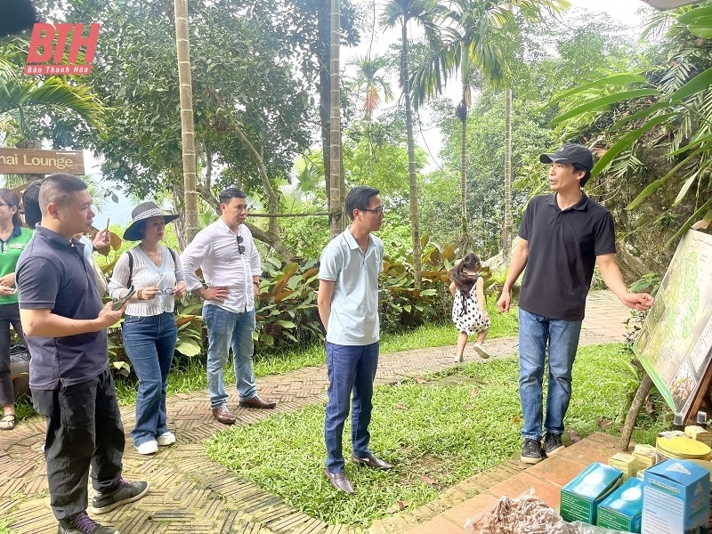 Conectando Pu Luong con empresas turísticas