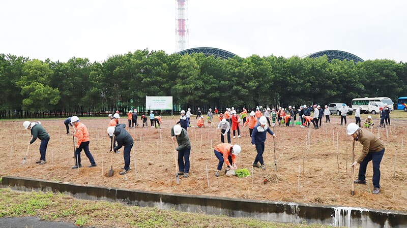 Công ty Nhiệt điện Nghi Sơn thực hiện tốt công tác bảo vệ môi trường