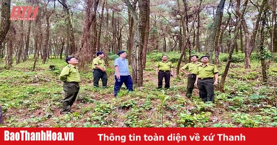 La ville de Nghi Son prévient proactivement les risques d'incendie de forêt