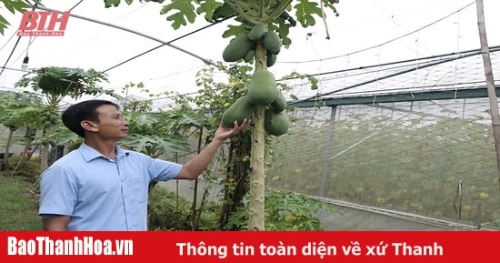 Phát triển rau màu theo hướng hàng hóa