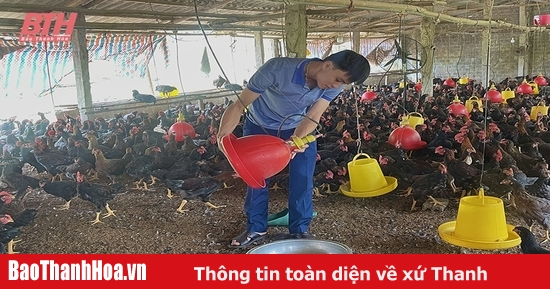 Chuẩn bị các điều kiện bảo vệ vật nuôi mùa nắng nóng