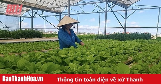 Phú Lộc đẩy mạnh chuyển đổi số