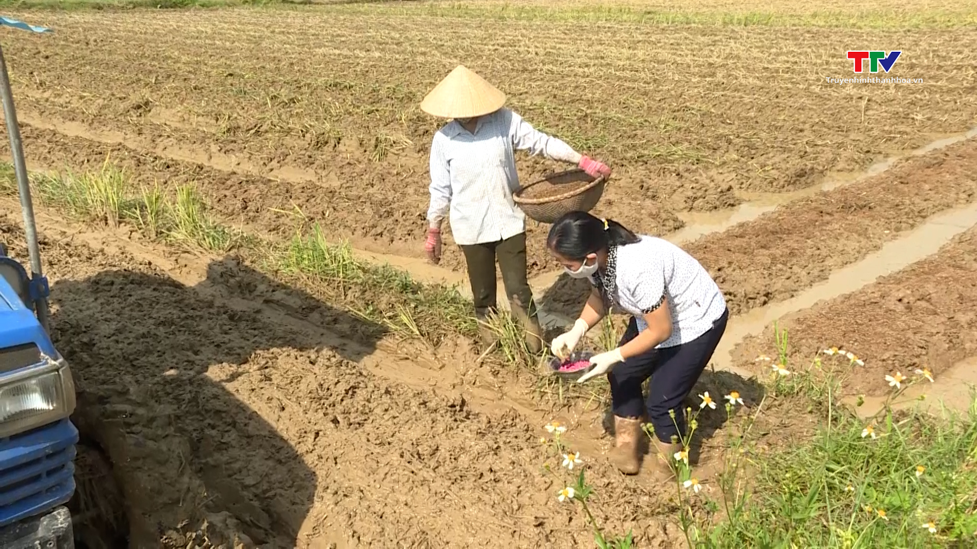 Thanh Hóa phấn đấu giá trị sản xuất vụ thu mùa 2024 đạt trên 9 nghìn tỷ đồng- Ảnh 1.