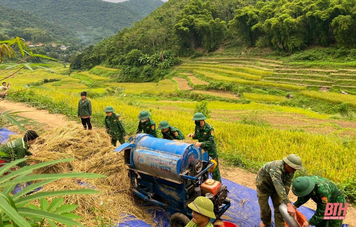 Xuống ruộng giúp dân gặt lúa