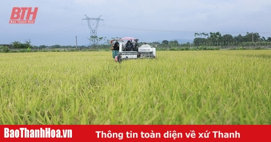 Vụ lúa xuân “thắng lợi kép”