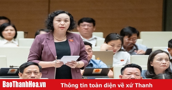 ĐBQH Cao Thị Xuân chất vấn về quản lý các giao dịch trong hoạt động thương mại điện tử đối với hàng hóa xuất khẩu, nhập khẩu