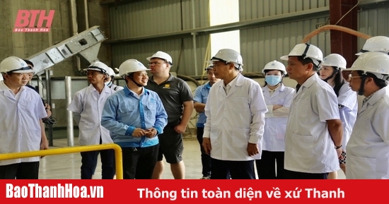 El viceministro de Agricultura y Desarrollo Rural, Phung Duc Tien, visitó y trabajó en el complejo de producción y ganadería de alta tecnología del Grupo Xuan Thien