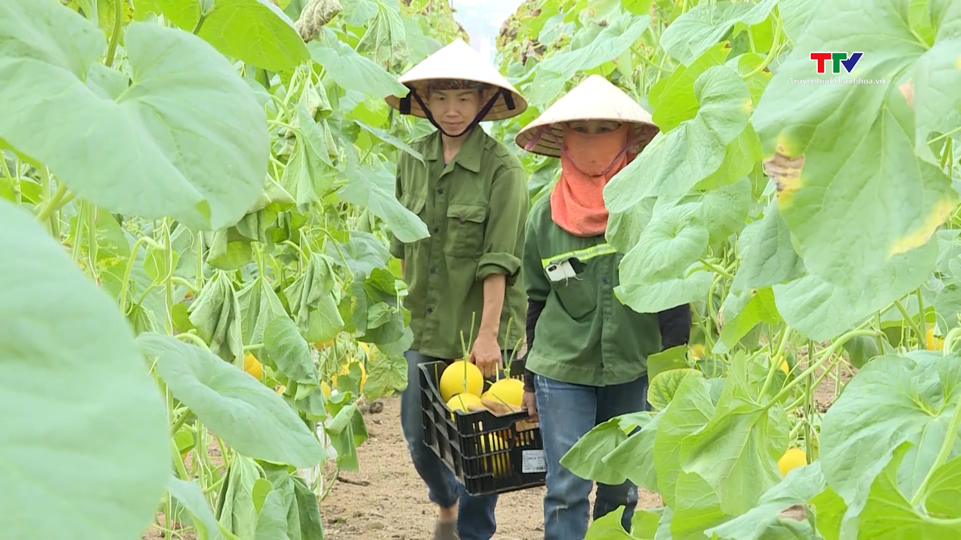 Huyện Thọ Xuân khuyến khích, hỗ trợ phát triển doanh nghiệp- Ảnh 4.