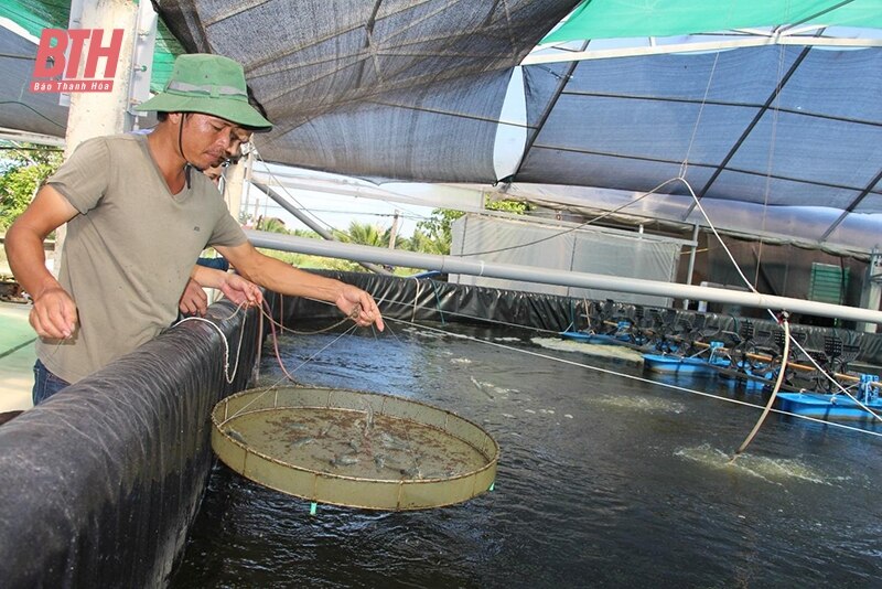 Tích tụ, tập trung đất để phát triển nuôi trồng thủy sản