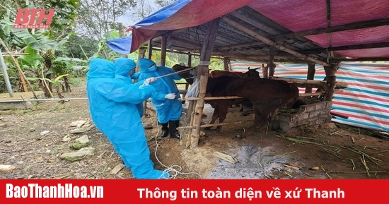 Cán bộ thú y cơ sở với công tác phòng chống dịch bệnh