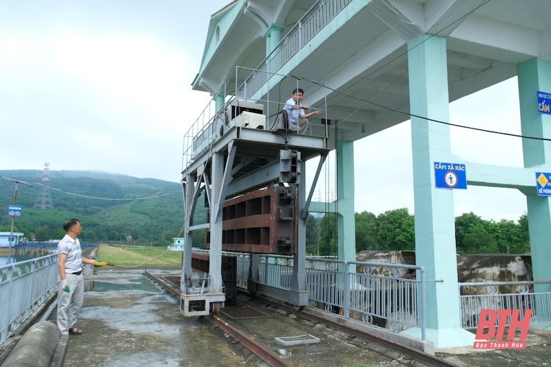 Công ty TNHH MTV Sông Chu chủ động phòng, chống ngập úng trong mùa mưa bão