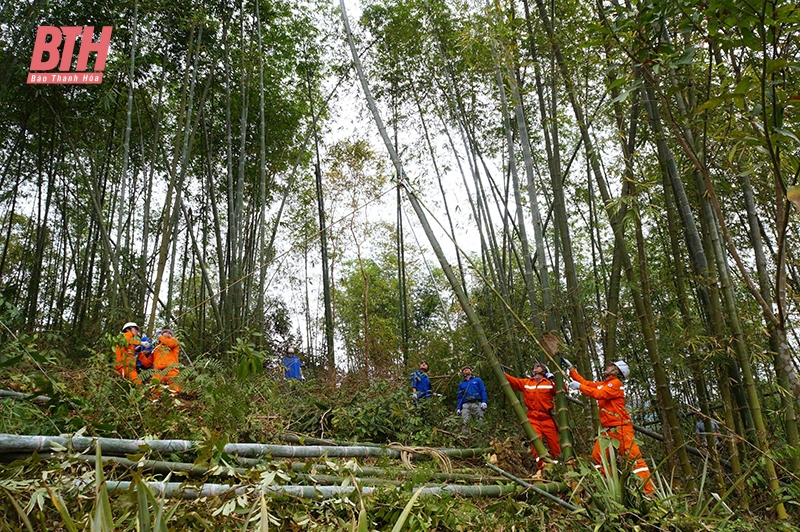 Nâng cao trách nhiệm địa phương trong bảo vệ hành lang an toàn lưới điện