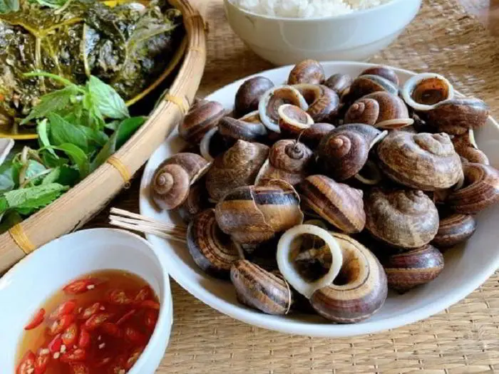 Visitez Pu Luong pour déguster la spécialité des escargots de roche