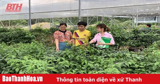 Chỉ thị số 40-CT/TW - khẳng định vai trò “trụ đỡ” trong công cuộc giảm nghèo bền vững (Bài cuối): Để tín dụng chính sách xã hội phát triển bền vững