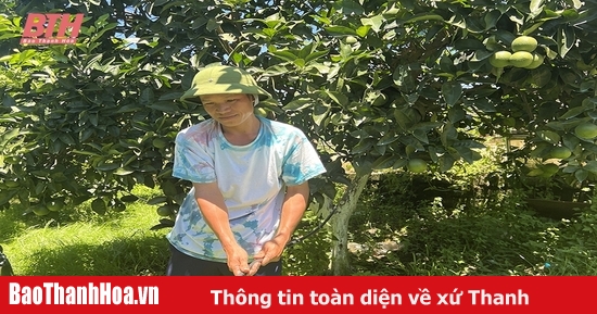 Đẩy mạnh sản xuất theo tiêu chuẩn VietGAP, GlobalGAP