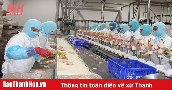 Tăng trưởng ấn tượng, tạo đà cán đích các mục tiêu phát triển năm 2024: (Bài 4)