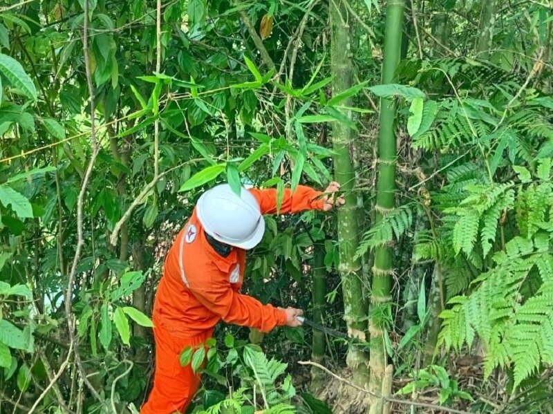 Điện lực Quan Hóa tăng cường kiểm tra, tuyên truyền sử dụng điện an toàn