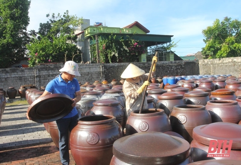 Hướng đến sự kiện Chợ trưng bày, giới thiệu, quảng bá các sản phẩm OCOP và ẩm thực Xứ Thanh năm 2024