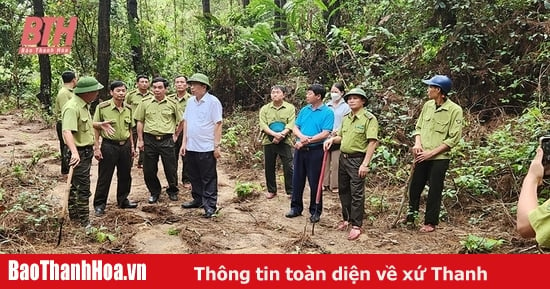 Hà Trung tăng cường biện pháp bảo vệ rừng