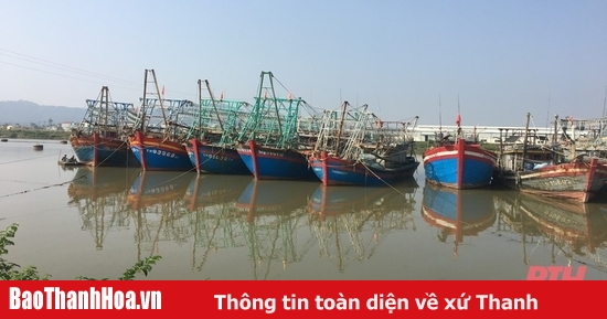 เจ้าของเรือ 100% มีข้อมูลเกี่ยวกับพายุลูกที่ 2